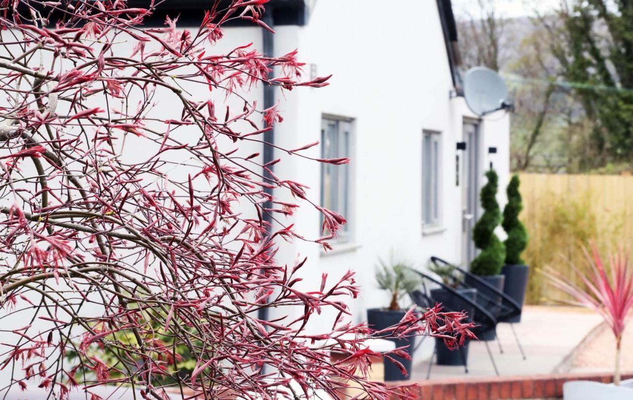 Pen-Y-Worlod Cottages Abergavenny Esterno foto